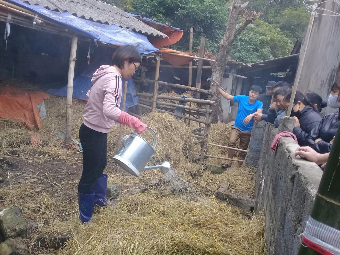 Tập huấn ủ phân hữu cơ tại xã Tân Đoàn